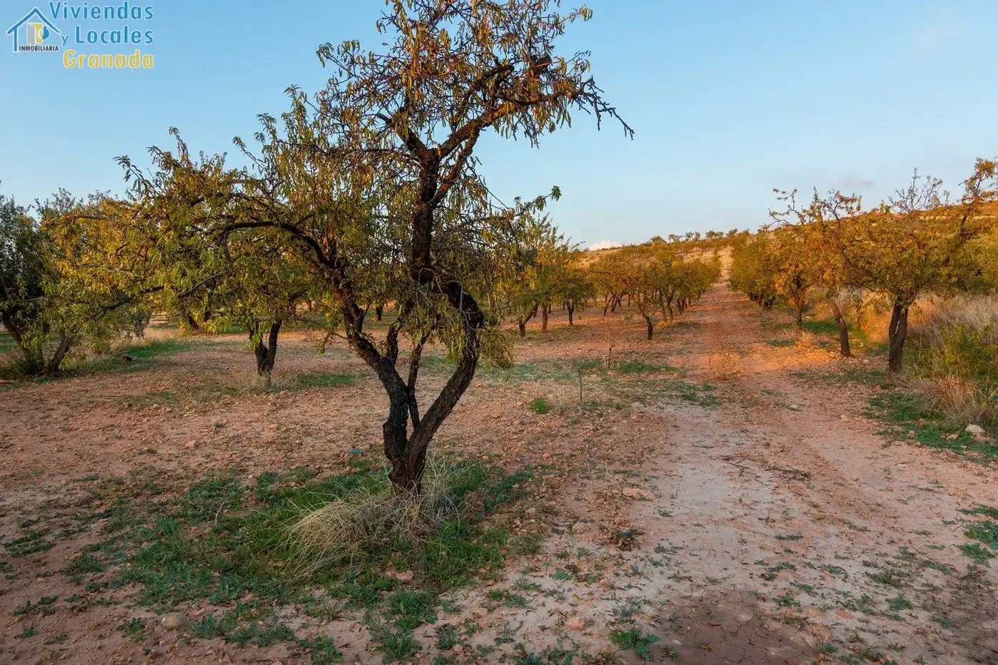 Rustikales Grundstück zum Verkauf in Camino de la zapatera, imagen 4