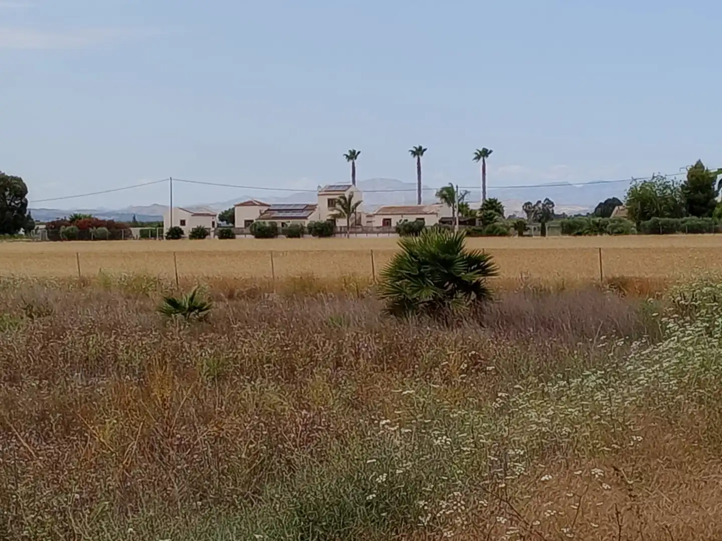 Terreno industrial en venta en Formentera del Segura
