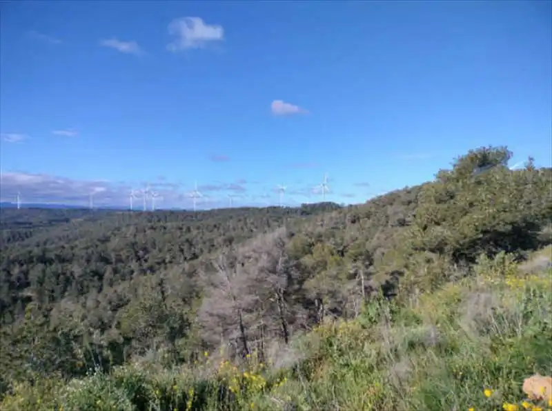 Residential for sale in Bot
