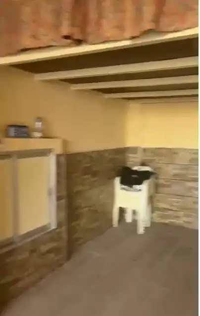 Local de lloguer en Valencia