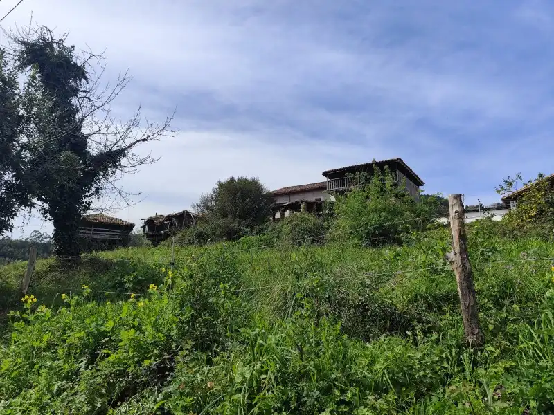 Finca rústica en venda a N/A, -1, Pravia