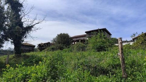 Foto 4 de Finca rústica en venda a N/a, -1, Pravia, Asturias