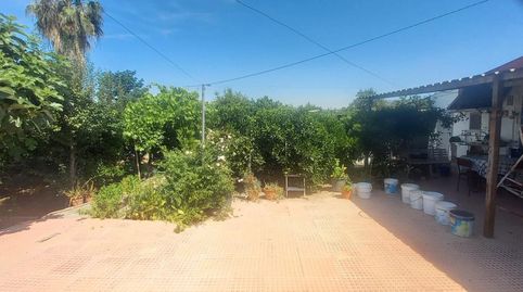 Foto 3 de Finca rústica en venda a Alcantarilla, Murcia
