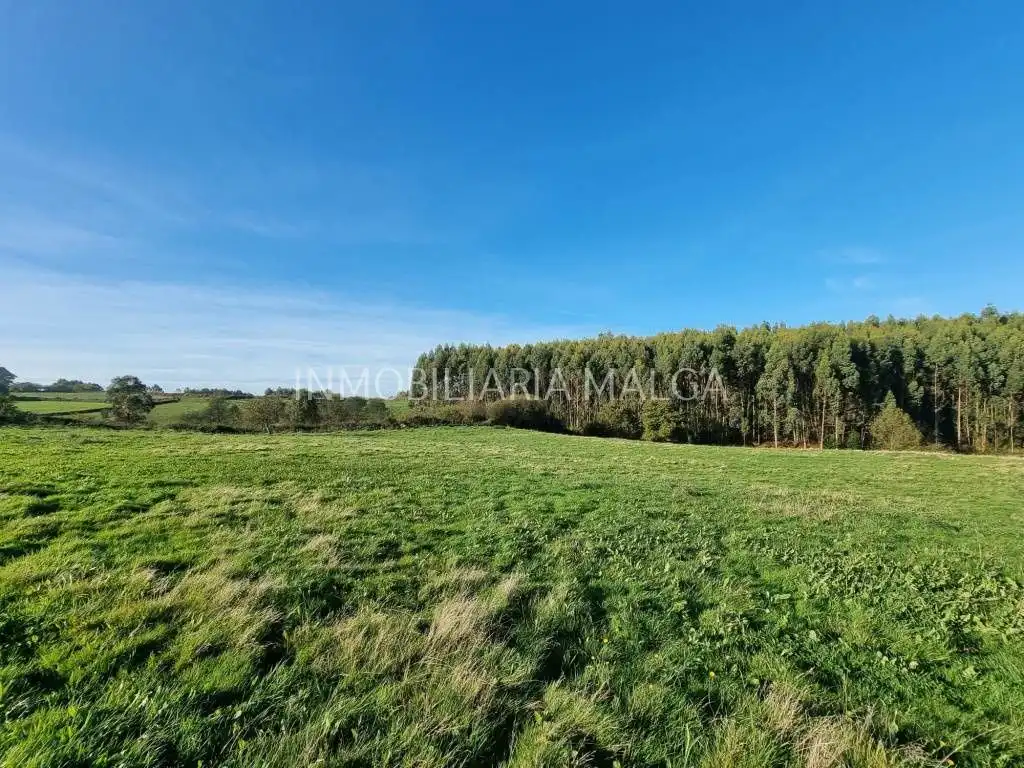 Residential for sale in Colunga