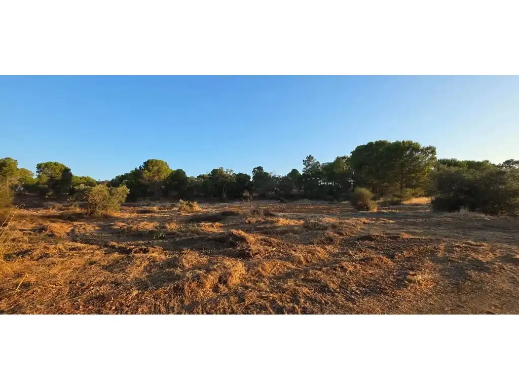 Terreny residencial en venda a Villablanca, imagen 3