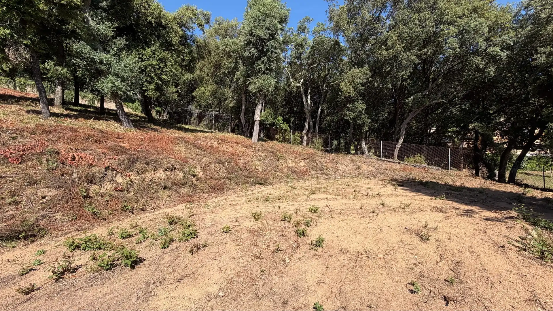 Terreno residencial en venta en Arbúcies, imagen 3