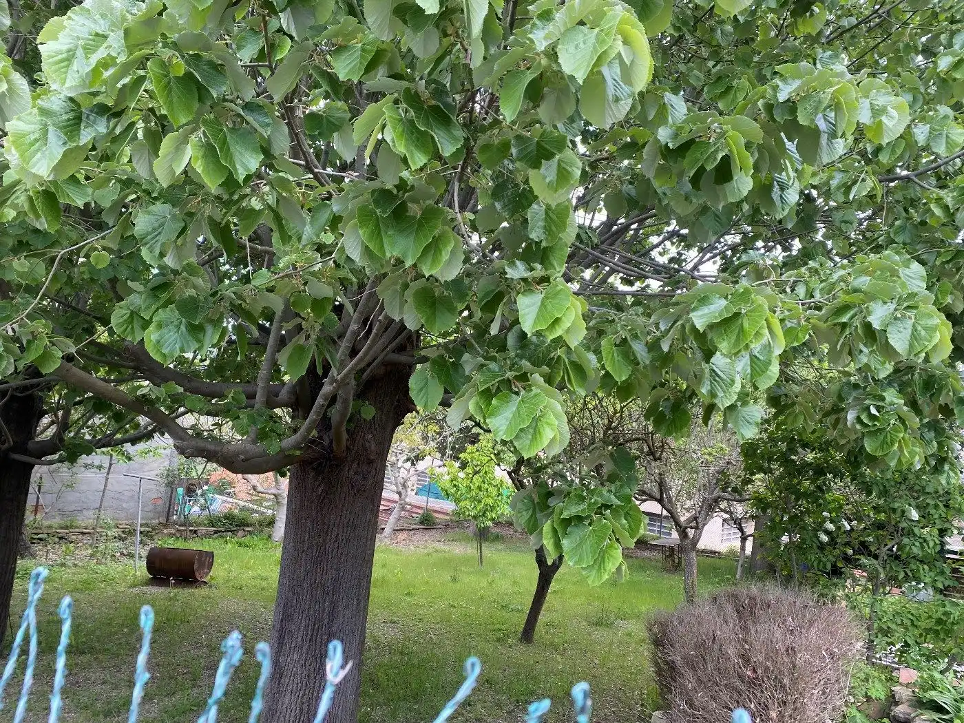 Jardí de Casa adosada en venda en Castellterçol