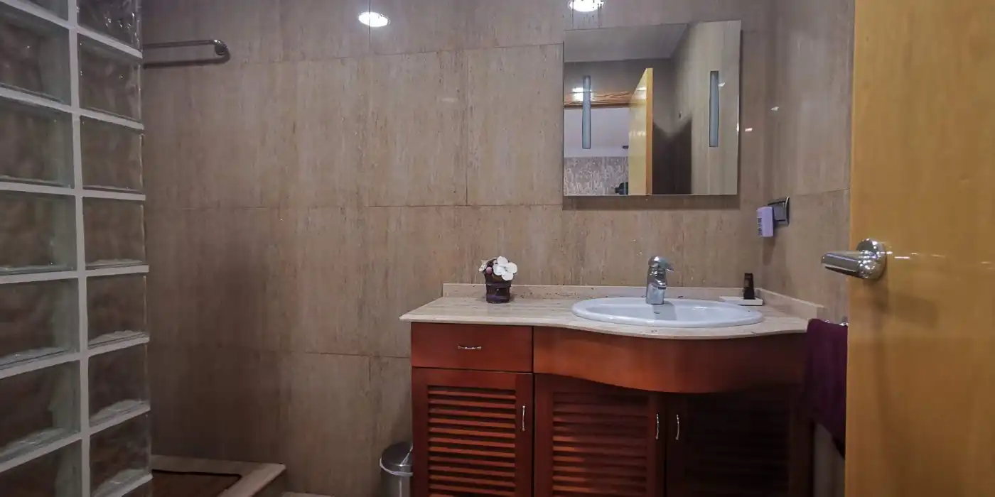 Bany de Casa o xalet en venda en Elche / Elx amb Aire condicionat, Jardí privat i Terrassa