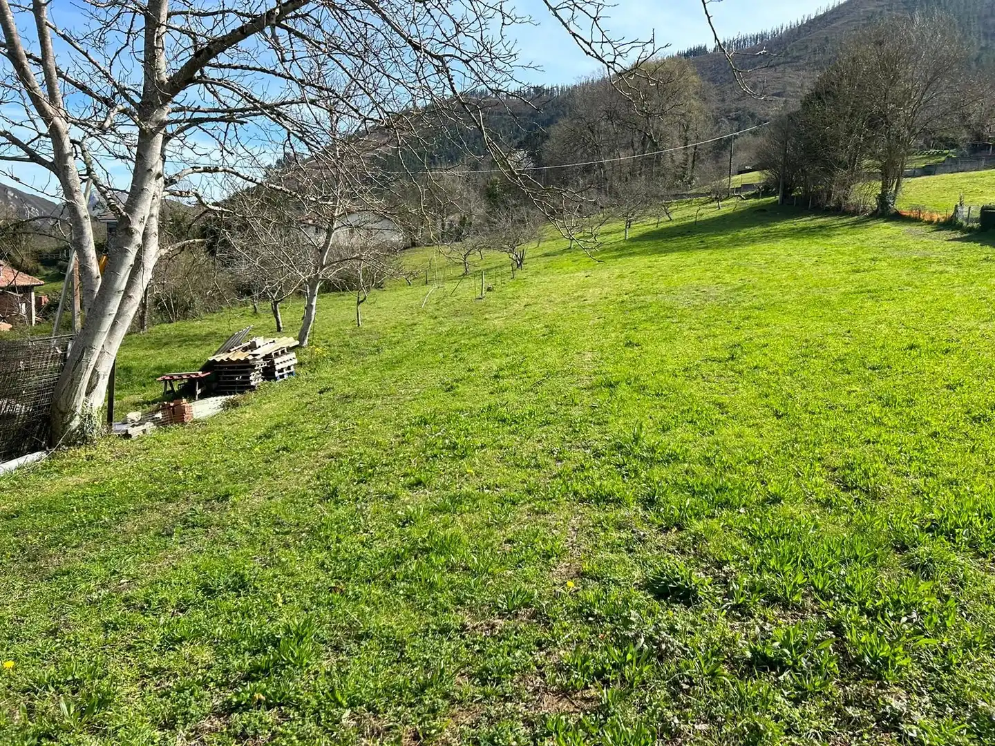 Terreni e lotti in vendita a Coviella, imagen 8