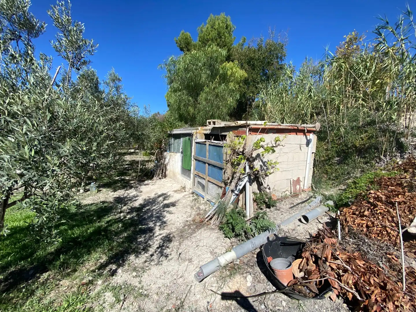 Country house with pool for sale in Sax, imagen 8