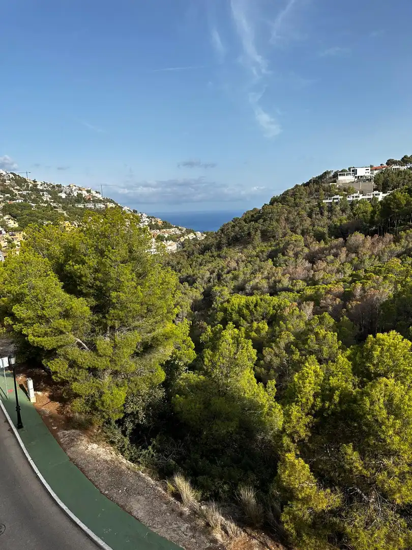 Wohnungen zur Miete in Altea Hills