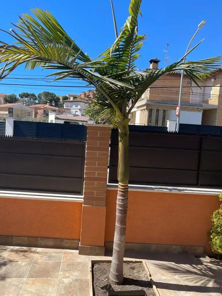 Casa con jardín en venta en Segur de Calafell, imagen 36