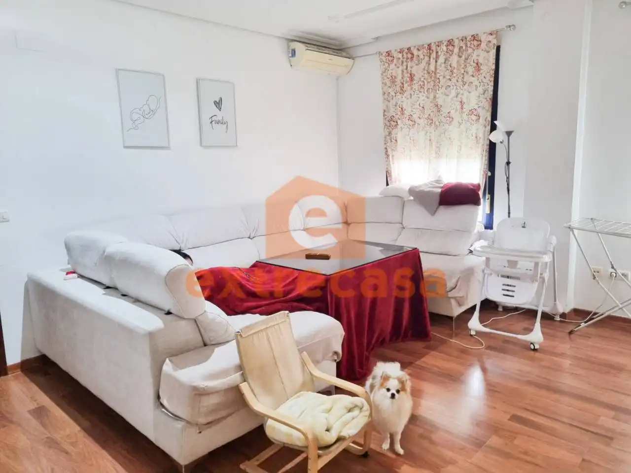 Sala d'estar de Pis de lloguer en Badajoz amb Aire condicionat i Moblat