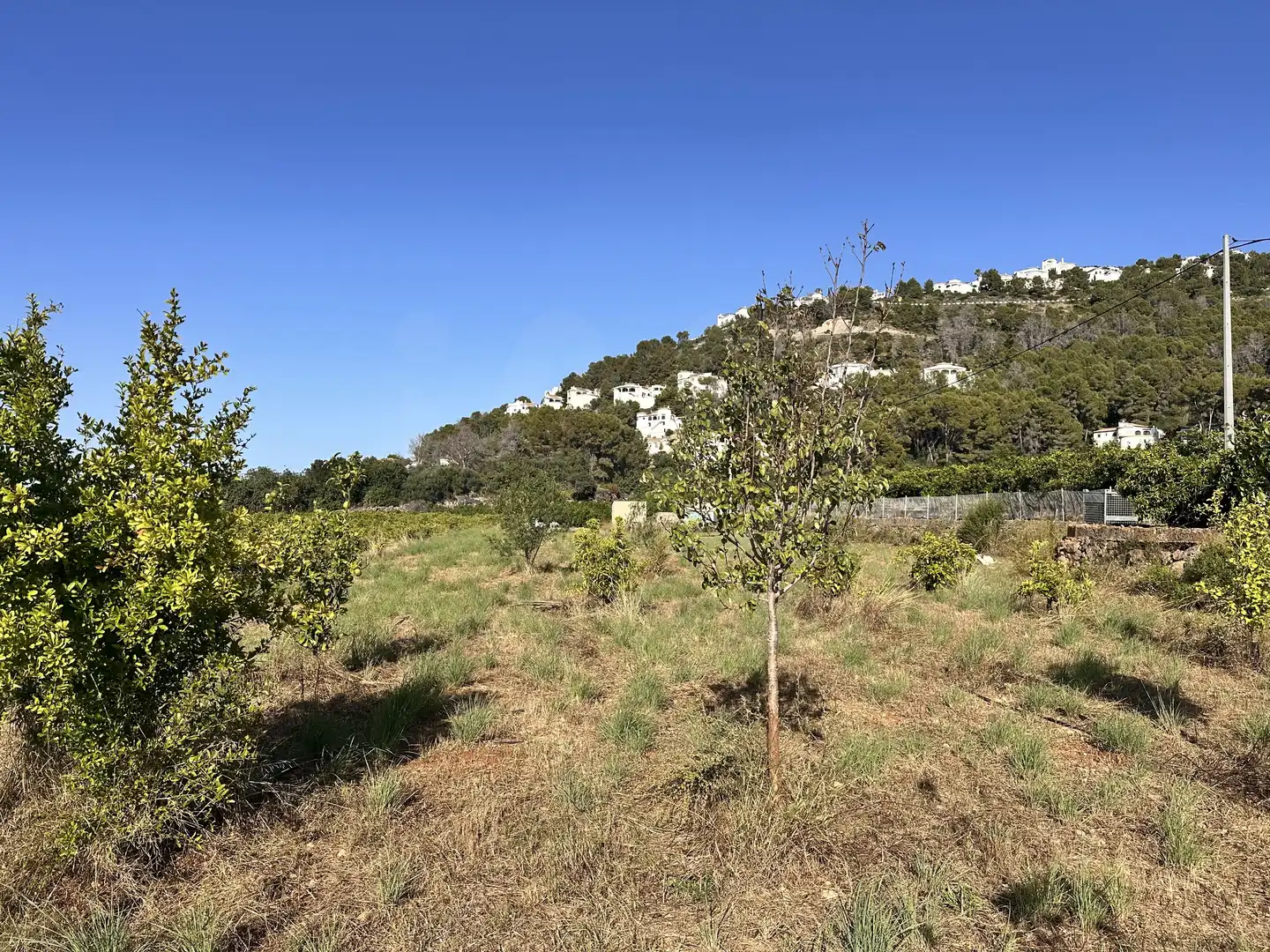 Terreno rustico in vendita a Pego, imagen 10
