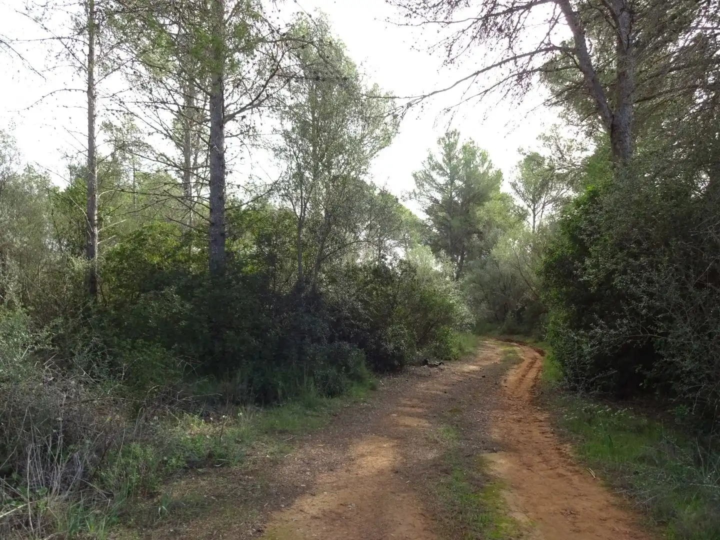 Finca rústica en venta en  Palma de Mallorca