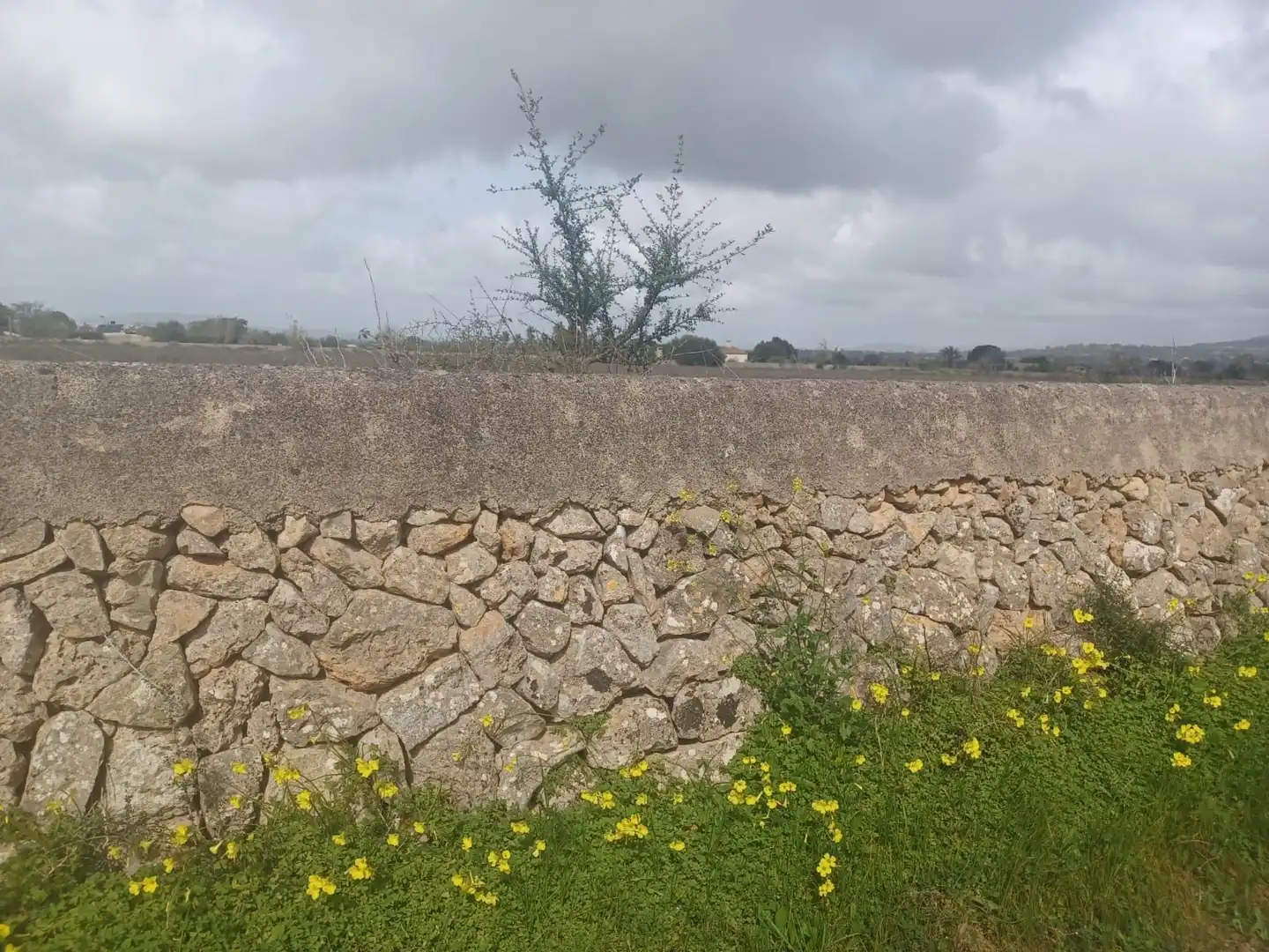 Rural land for sale in Felanitx Poble