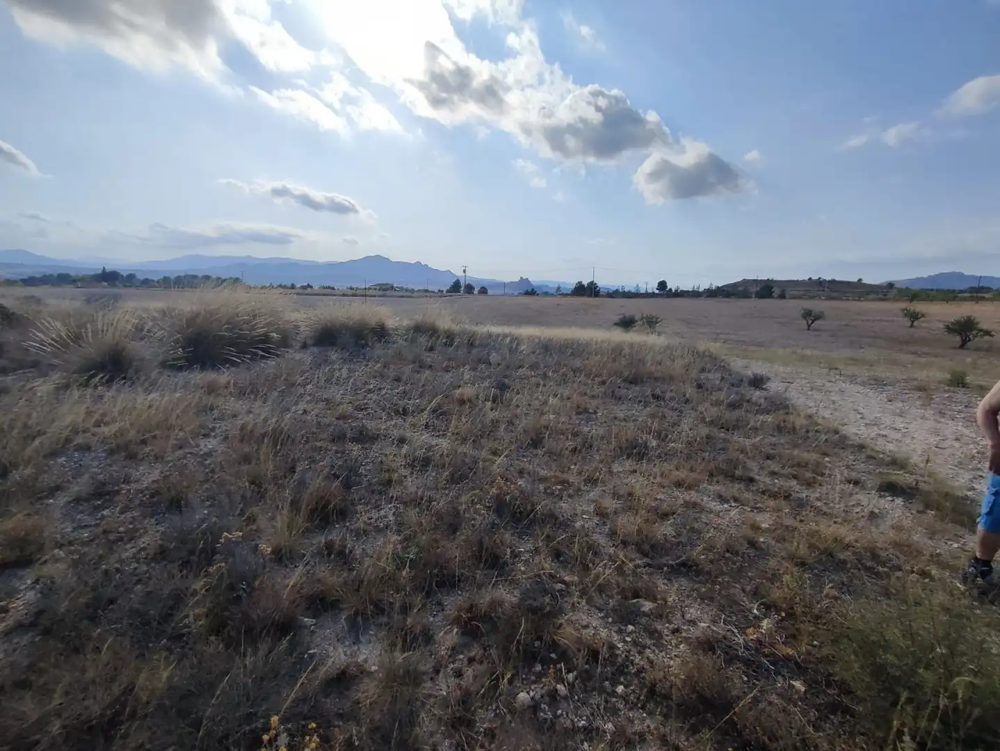 Residential land for sale in Sax, imagen 9