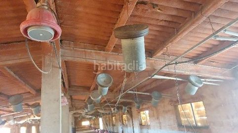 Se vende almacen - granja pollos, imatge 4