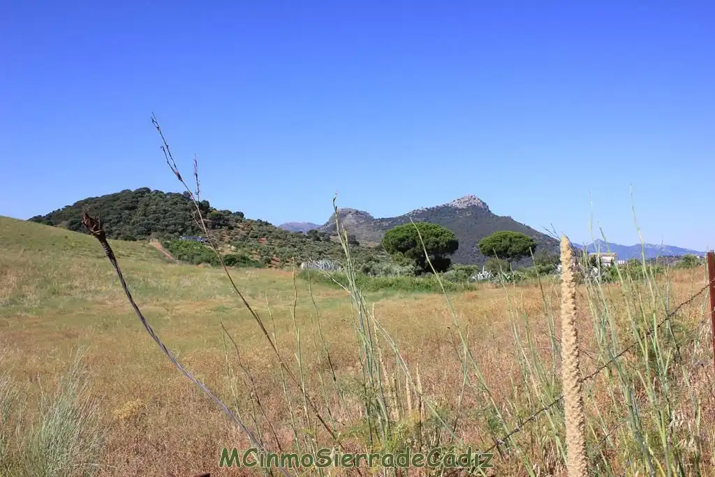 Finca rústica en venta en Montecorto