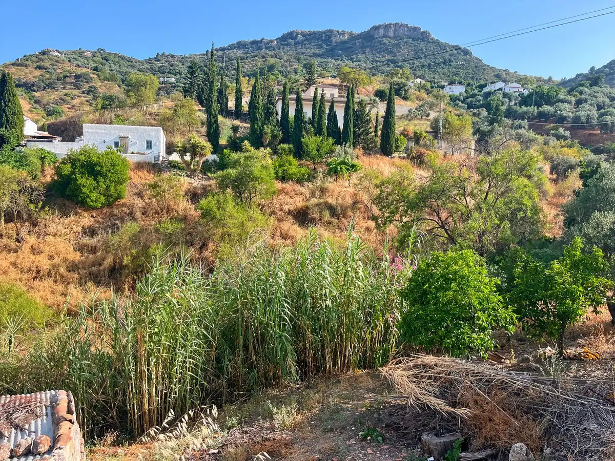 Casa rústica en venda a Comares, imagen 4