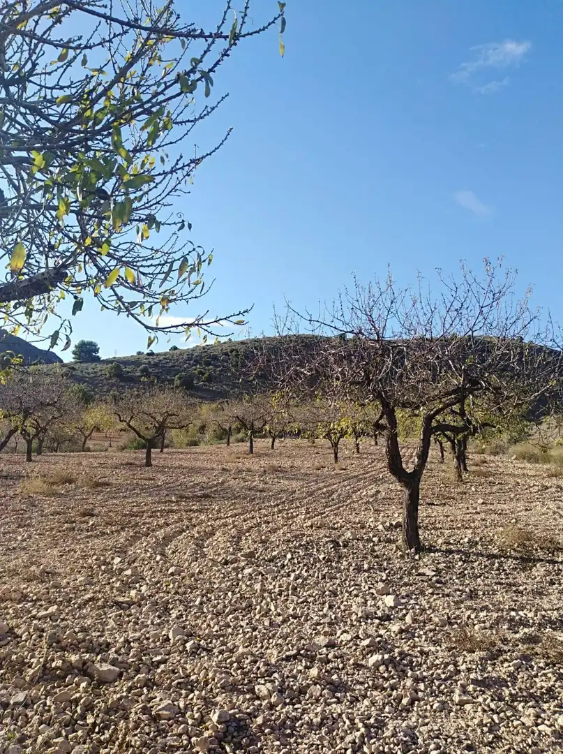 Finca rústica en venda en Mazarrón amb Aire condicionat, Calefacció i Traster