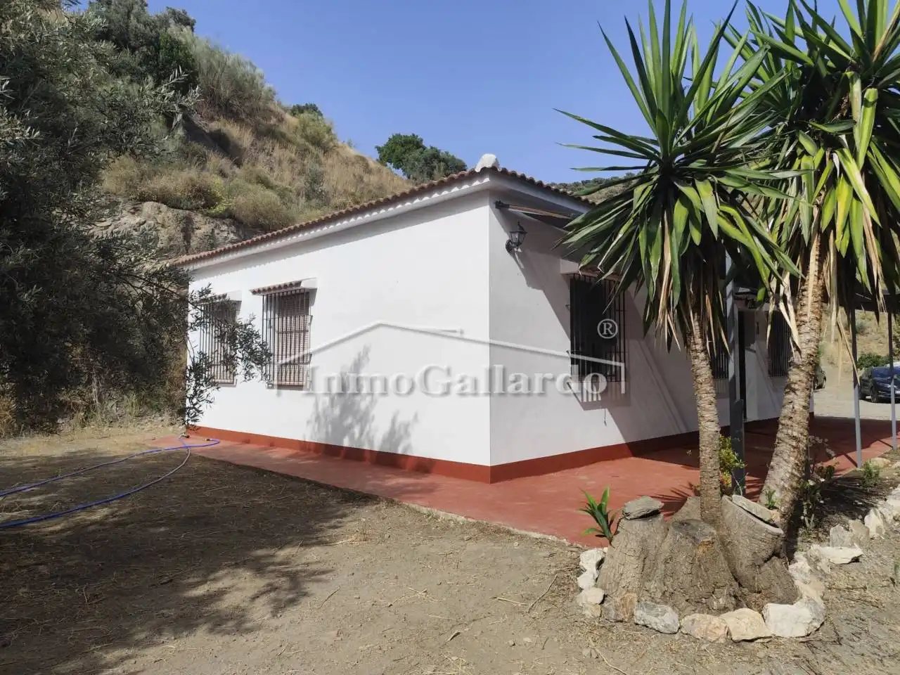 Vista exterior de Casa o chalet en venta en Rincón de la Victoria con Jardín privado y Terraza