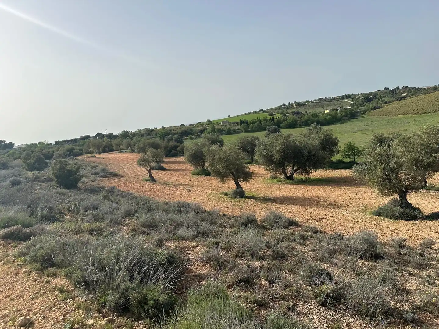 Terreno en venta en Morata de Tajuña