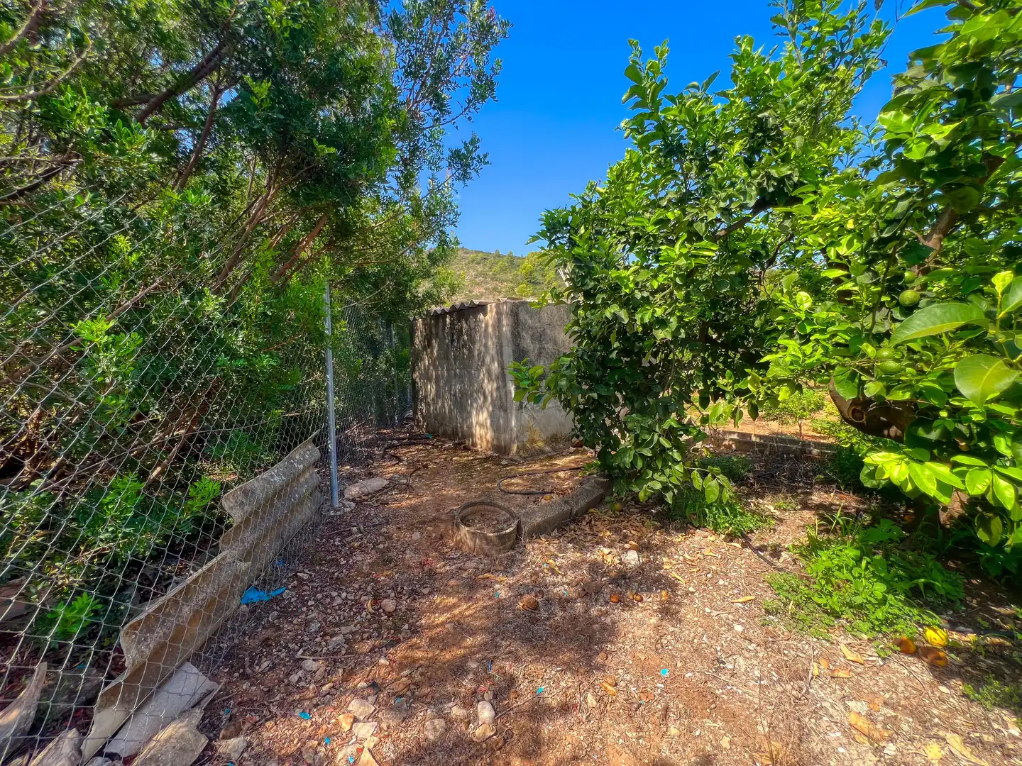 House for sale in Oliva pueblo, imagen 26
