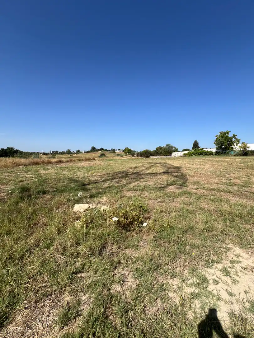 Rural land for sale in Almensilla