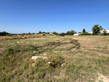Terreno rustico in vendita a Almensilla