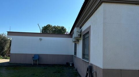 Foto 4 de Finca rústica en venta en Alcolea, Córdoba Capital