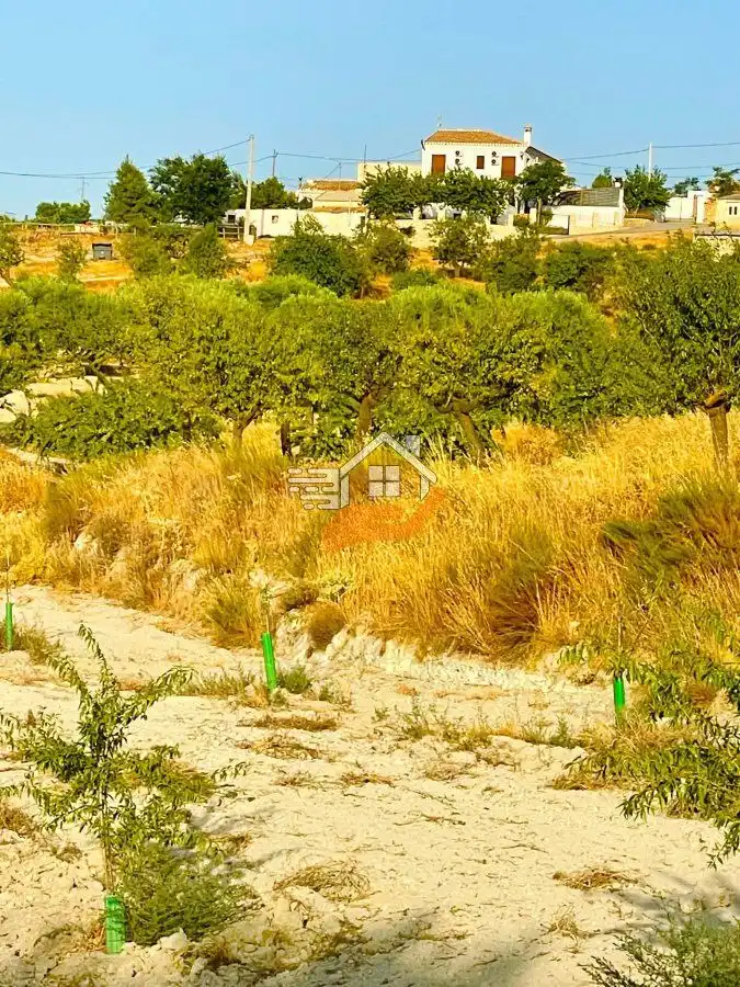 Country house for sale in Vélez-Rubio, imagen 9