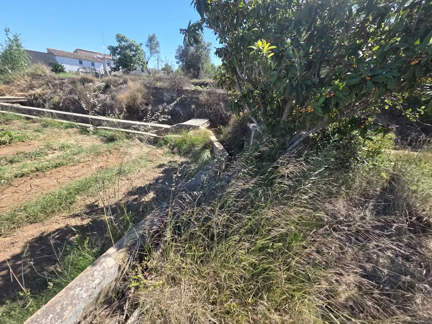 Rural land for sale in Vilamarxant, imagen 13