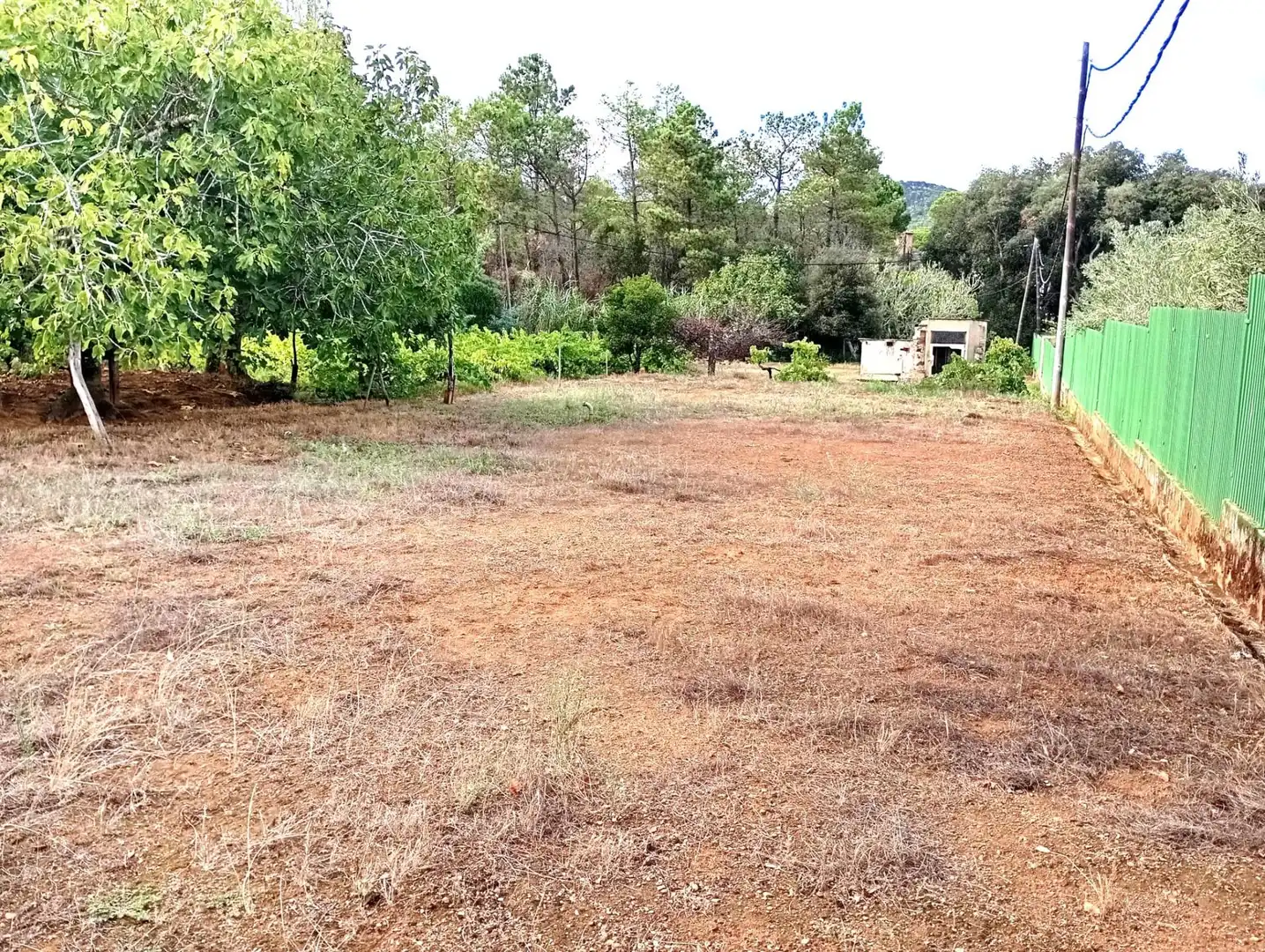 Casa con giardino in vendita a Mont-ras, imagen 4