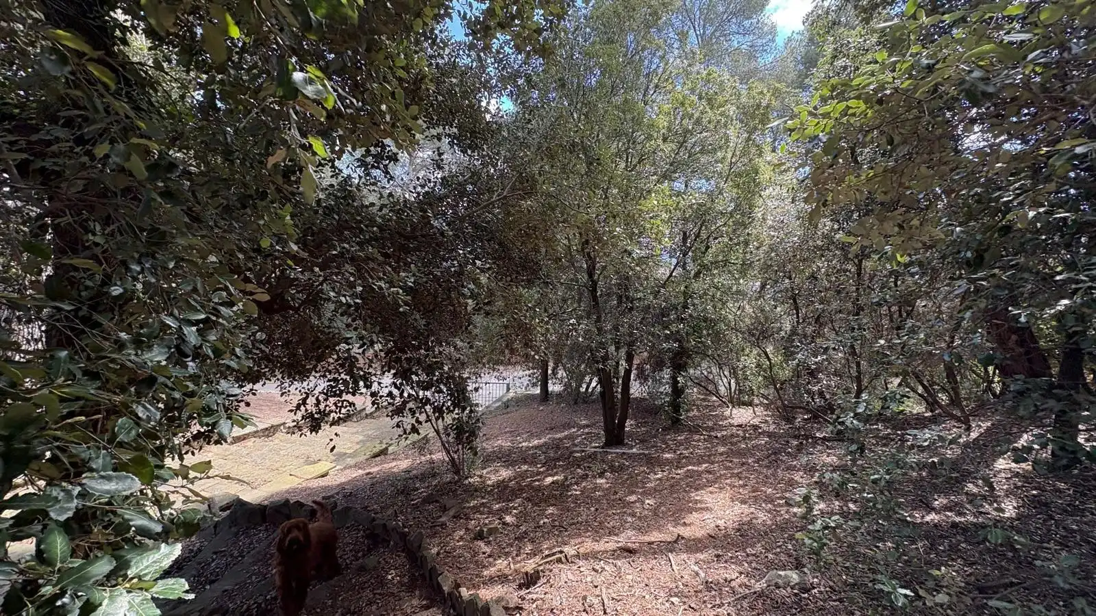 Terreno residencial en venta en El Racó - Sant Feliu del Racó, imagen 14