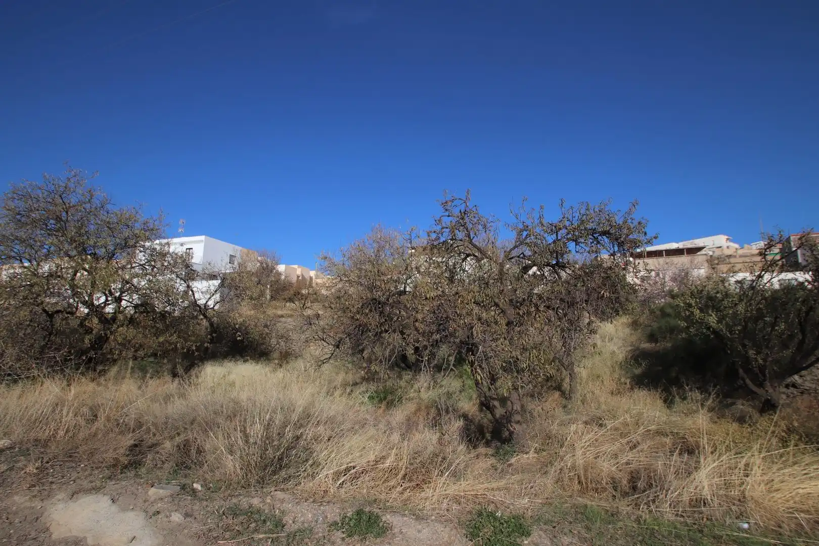Terreny residencial en venda a Calle SEBASTIAN PEREZ 159, imagen 17