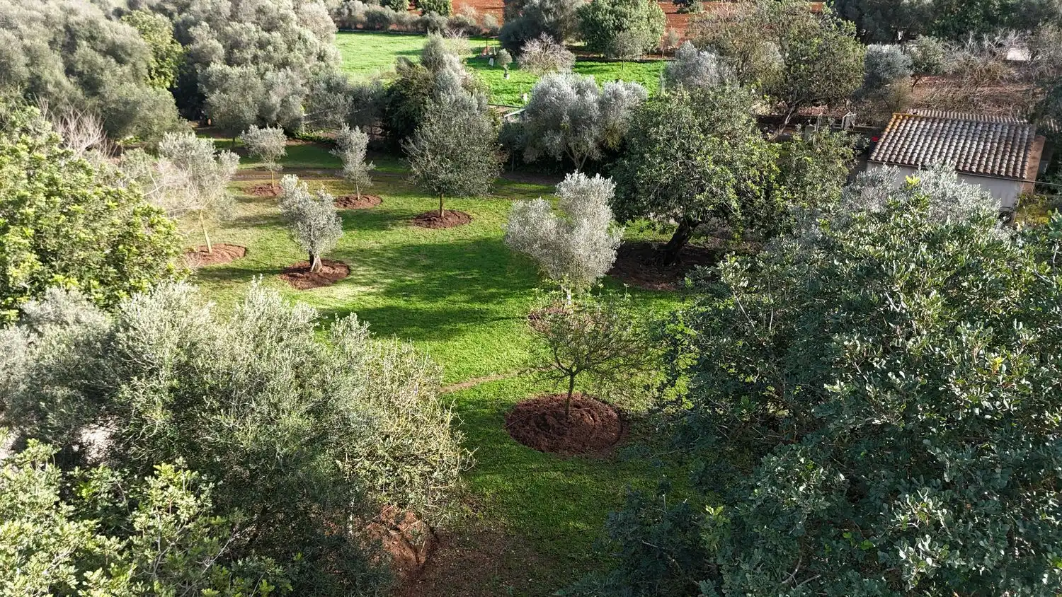 Finca rústica de alquiler en Manacor, Illes Balears