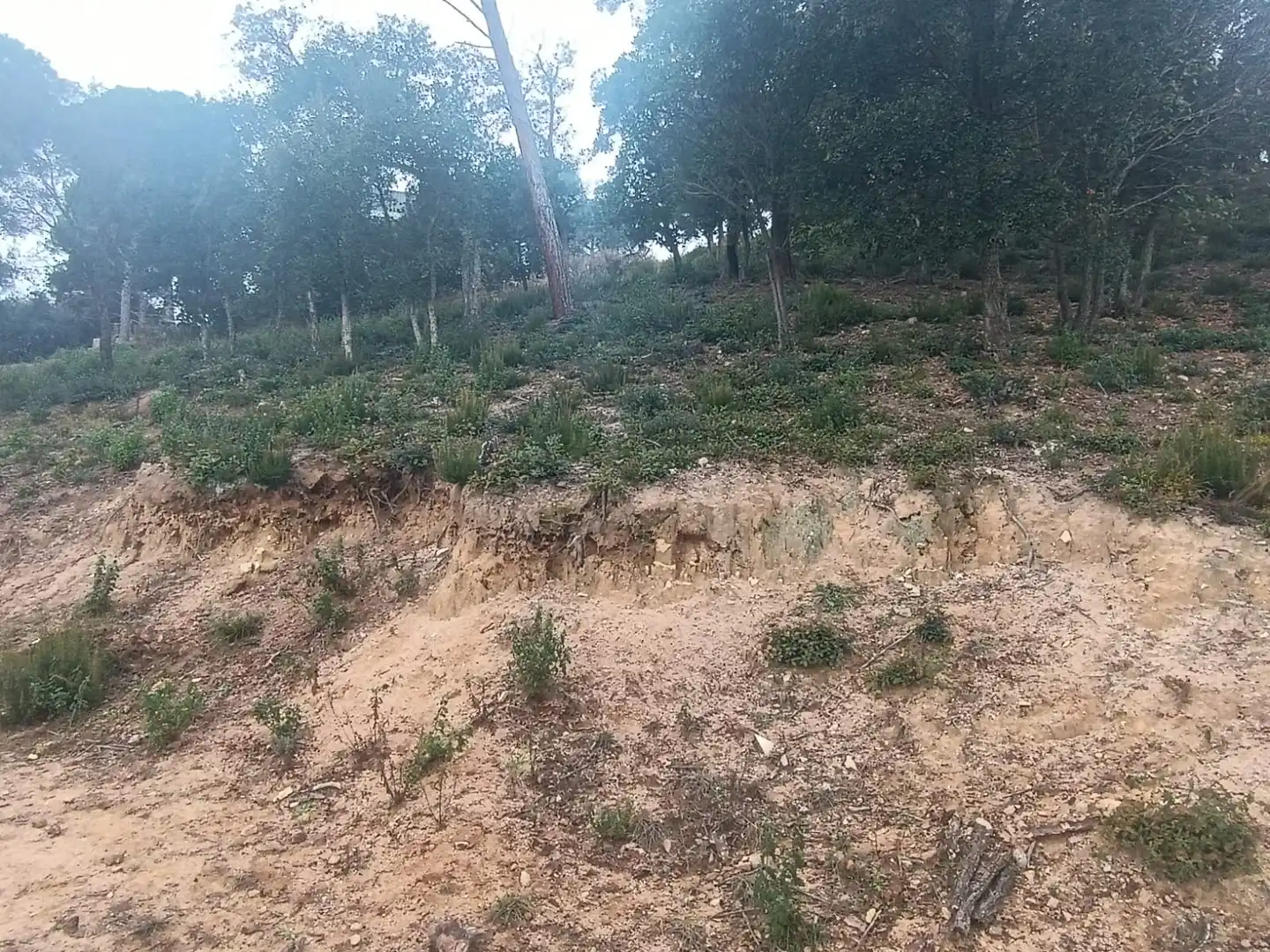 Wohnbaugrundstück zum Verkauf in Niàgara Parc - Àgora Parc, imagen 7