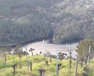 Vista exterior de Finca rústica en venda en Pantón amb Balcó