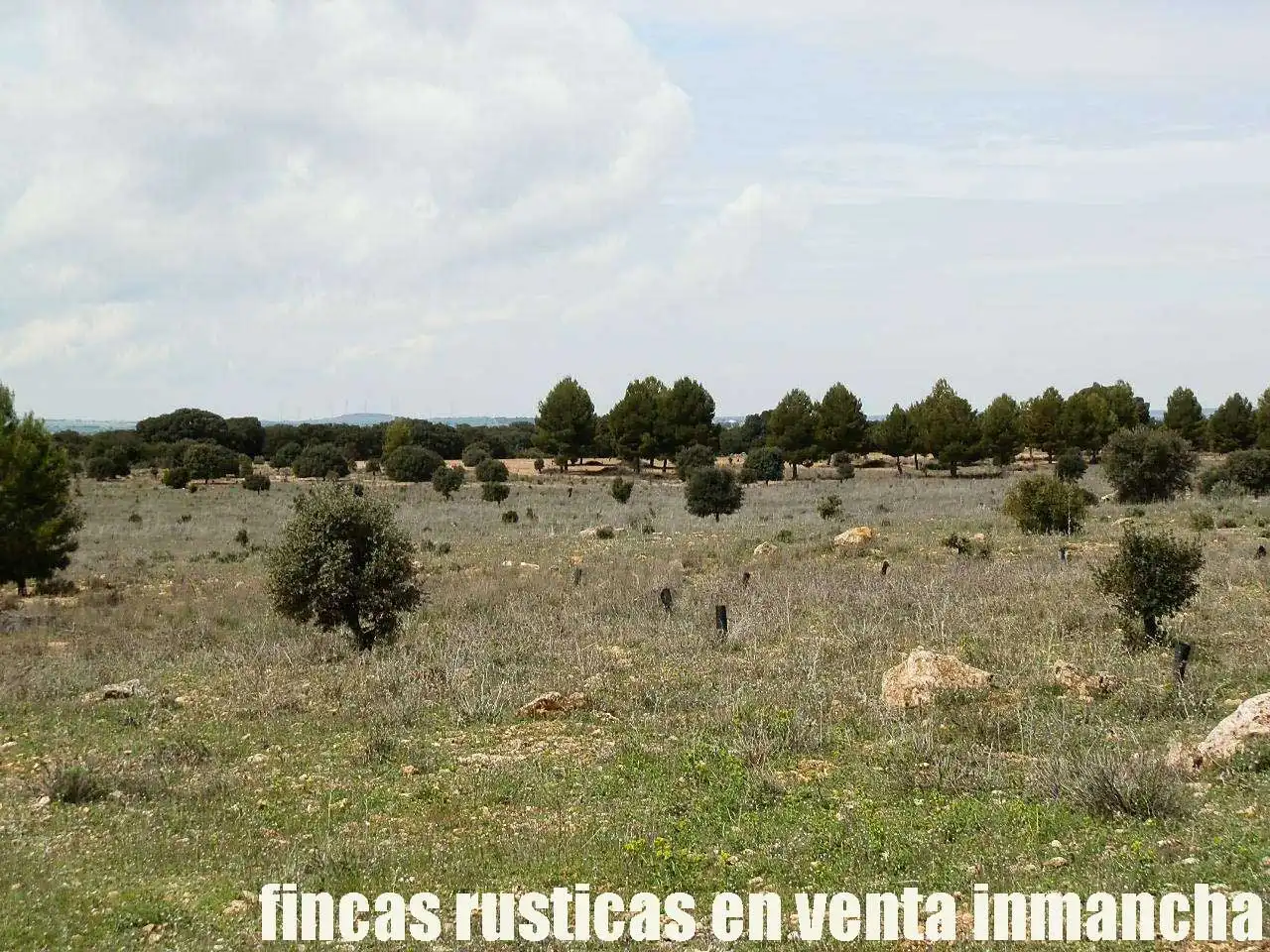 Terreni e lotti in vendita a Villarrobledo, imagen 7
