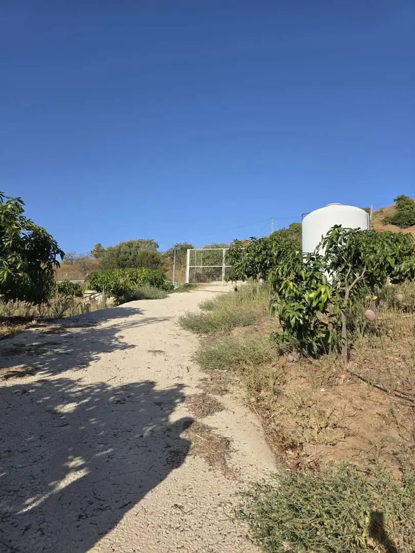 Finca rústica en venta en Benamocarra con Terraza y Piscina