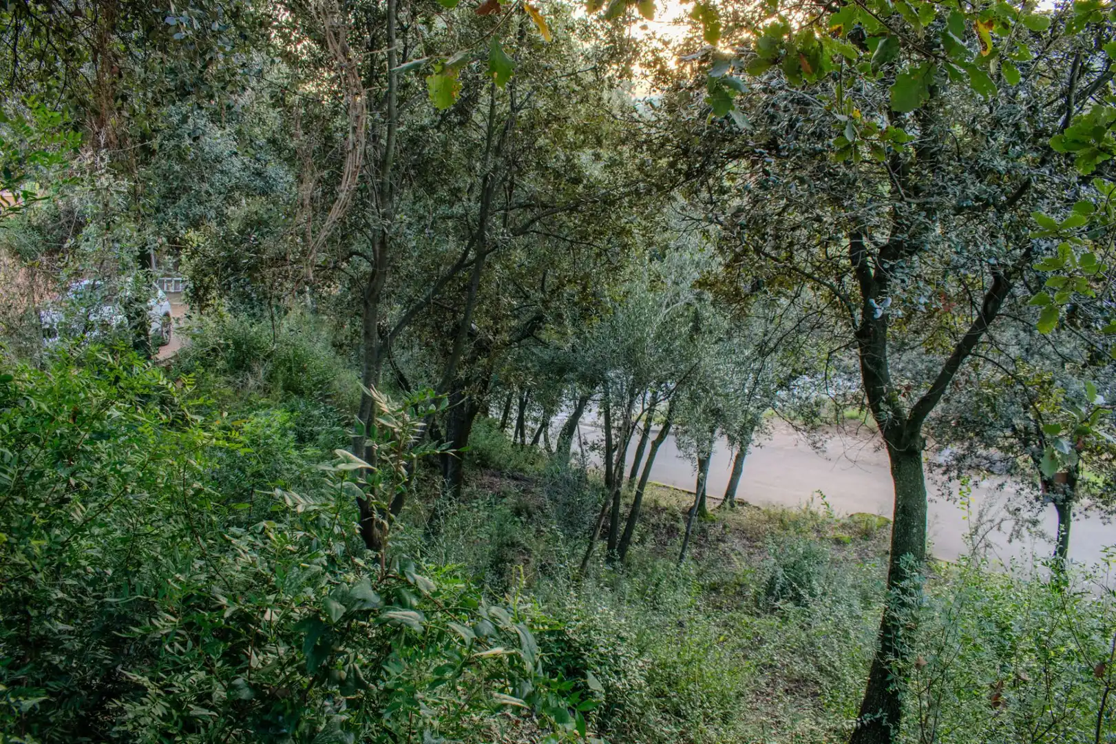 Lands and plots for sale in Bigues i Riells del Fai, imagen 11