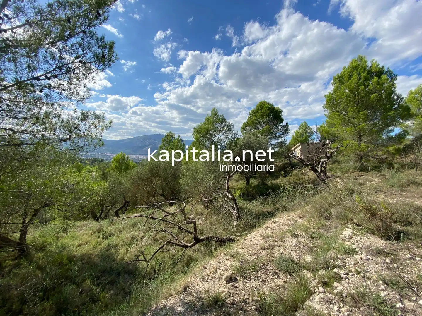 Terreno en venta en Millena