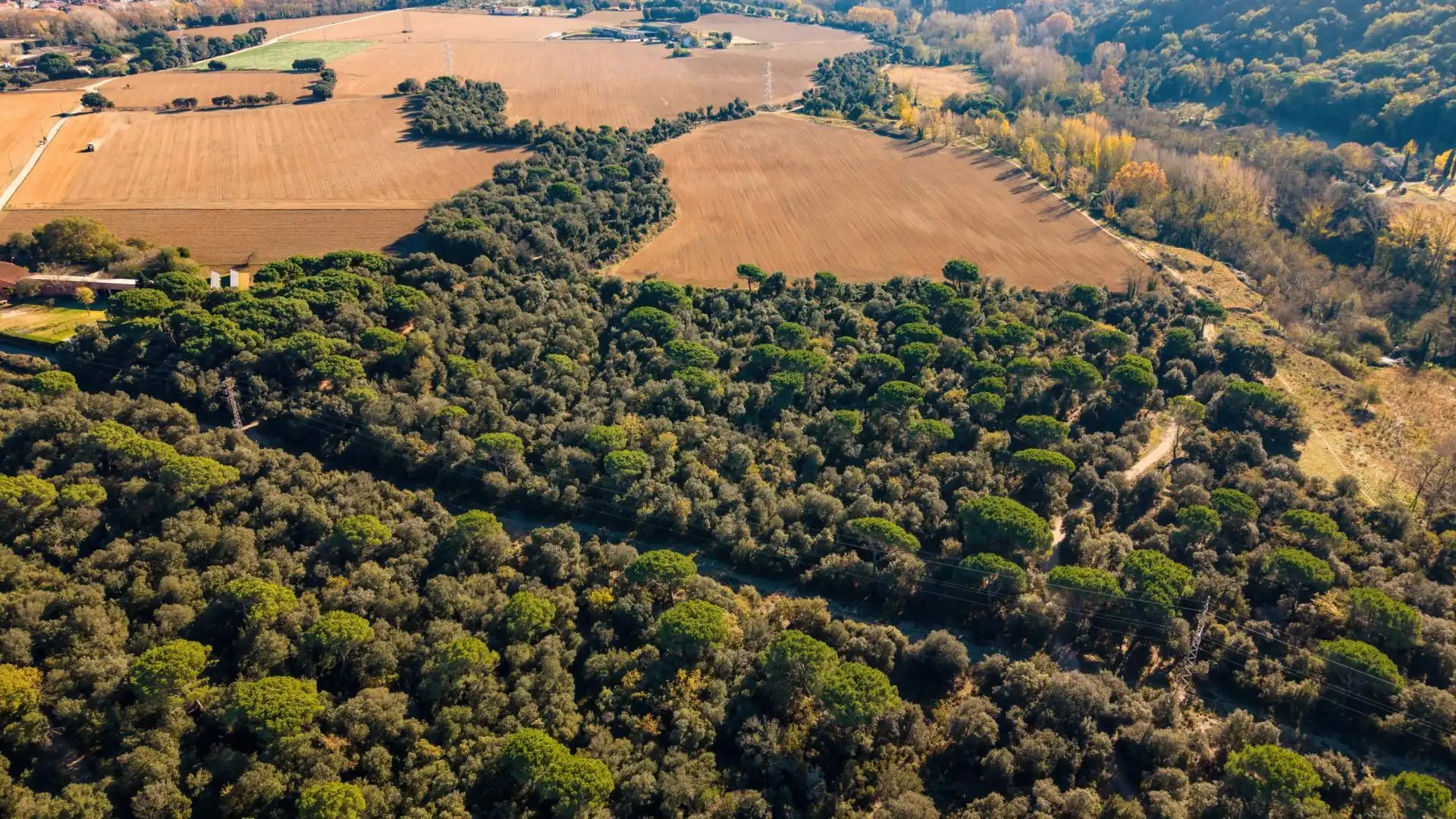 Terreny rústic en venda a Santa Maria de Palautordera, imagen 6