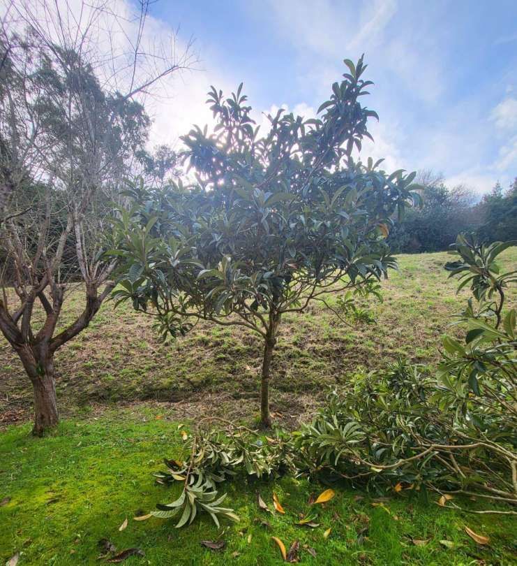 Land for sale in Urduliz