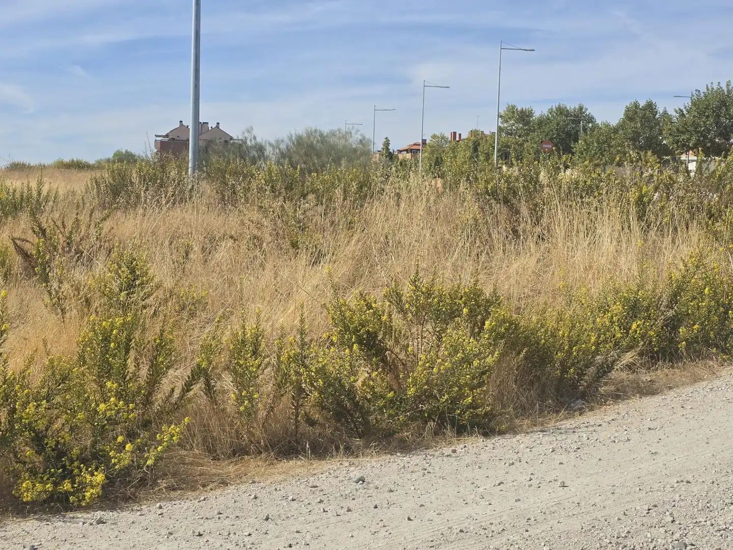 Terreny residencial en venda a La Dehesa - El Pinar, imagen 16