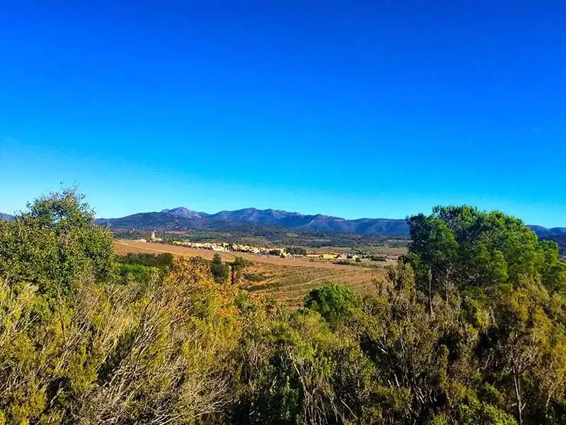 Vista exterior de Casa o xalet en venda en Sant Climent Sescebes