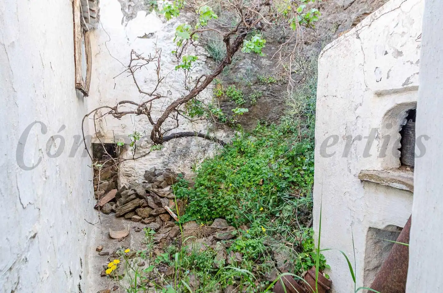 Maison à vendre à Cómpeta, imagen 19