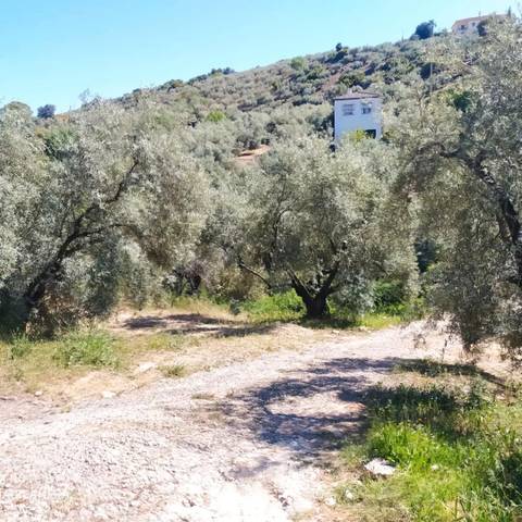 Terreno en Venta en Plaza España en Cabra