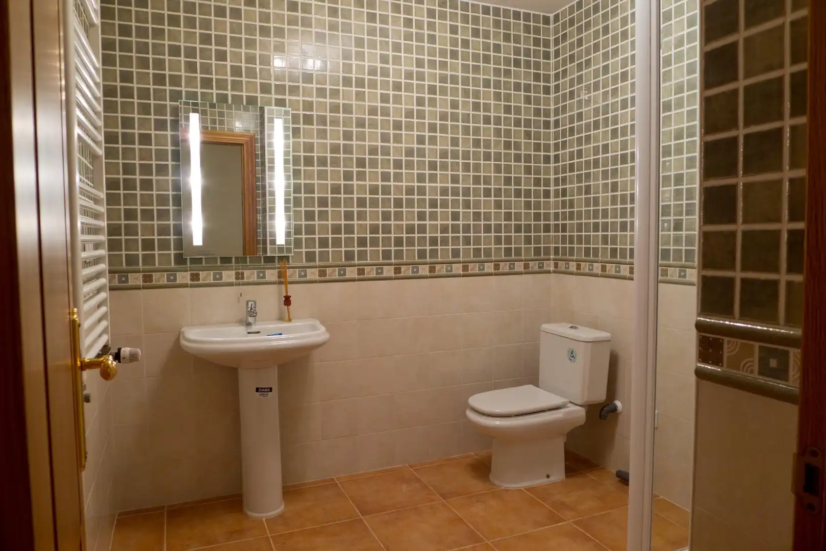 Bathroom of Detached homes for sale in Coín  with Terrace, Storage room and Swimming Pool